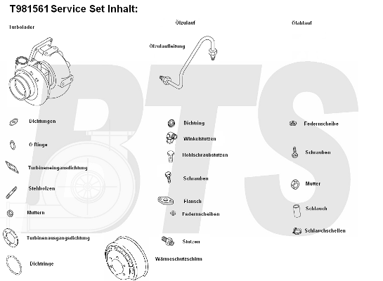 Compresor,sistem de supraalimentare T981561 BTS Turbo